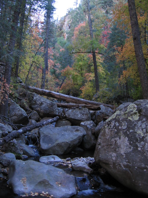 south fork whitewater creek.JPG